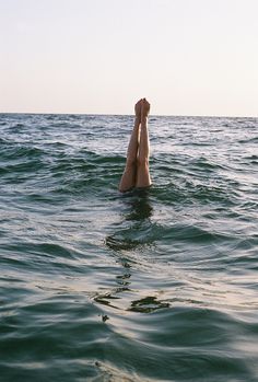 95d406ddf41e5debb9cf71563340ffbc